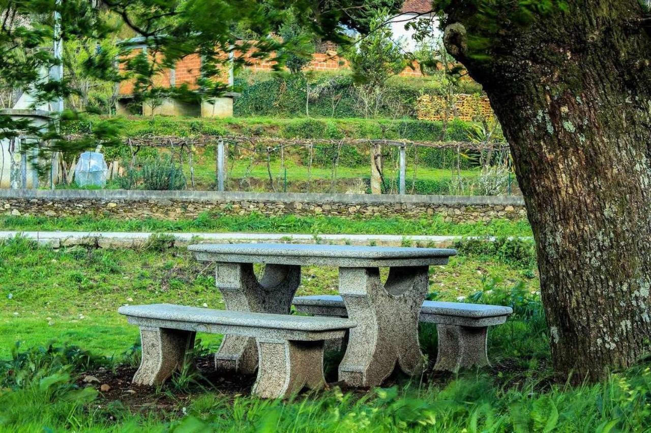 Viana Do Castelo - Amonde Village Casa P - Conforto Qualidade Natureza 외부 사진