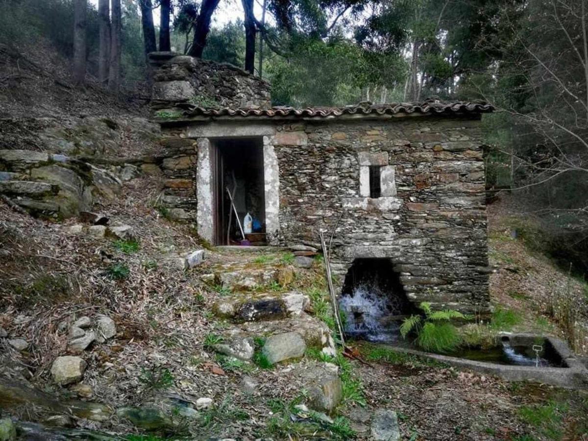 Viana Do Castelo - Amonde Village Casa P - Conforto Qualidade Natureza 외부 사진